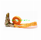 1inch 25mm 0.8t/1t 1000kg Endless Ratchet Tie Down Lashing Strap