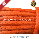  Synthetic UHMWPE Winch Rope for Offroad ATV and UTV