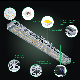  320W 680watt LED Grow Bar Light Lm301b 301h for Indoor Plants Greenhouse