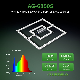  ETL Patent 680W 800W Full Spectrum Wholesale LED Grow Lights Samsung 301b 301h Osram with High Ppfd High Yield for Horticulture Greenhouse Plant Growing