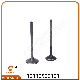 Motorcycle Spare Part Motorcycle Engine Valves for Symphony St manufacturer
