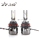  H1 H3 H7 880 881 9012 H4 H7 High Quality Csp Chip LED Automobile Lighting for Car