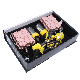  Bright H1 H3 H7 H11 9005 9006 HID Xenon Canbus Kits 55W