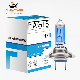  Factory H7 12V 55W Blue Super White Car Lamps Halogen Bulbs