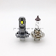  1: 1 Halogen Global Standard Size Compact 27W H7 Car LED Headlight Bulb