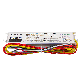  55-95W UV Bulb Electronic Ballast