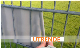  DIY Easy Installation Plastic Buchsbaum Schiefer Strip Privacy Screen Fence Panel