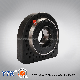 Heavy Truck Drive Shaft Center Bearing New Type Auto Parts manufacturer