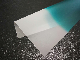  Green on Clear Band PVB Film for Car Windshield Laminlated Glass
