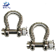  Boat Hardware High Tensile European Stainless Steel D Shackle with Screw Pin