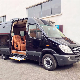  CE Electric Step Van Ladder for Motorhomes with 250kg Loading