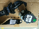  Pre-Crash Seatbelt of Peugeot 307