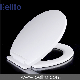  High Quality New UK European market style bus toilet seat for lavatory