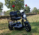  500-750W Differential Motor Big Comfortable Seat with Basket Three Wheel Trike Scooter