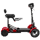 with Seat for Adults 500watt Electric Motorcycle Scooter CE Approveld manufacturer