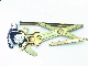 Chery Auto Electric Window Regulator S11 for Back Door Right manufacturer