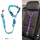  Two-in-One Pet Accessories Nylon Leash Dog Harness Car Seat Belt