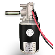  Large Torque Micro 12V Brush DC Gear Motor for Power Window
