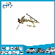  Auto Front Door Glass Lifter for Changan 4500