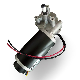  Car Window Usage Electric Motors 24V DC Gear Motor Encoder