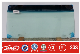  Auto Glass for Suzuki Carry Van Truk 1991- Front Windshield