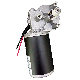  12V DC Gearbox Motor 300 Rpm High Torque 10nm Geared Motors