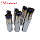  Excellent Quality Stainless Steel Hks Exhaust Muffler Hks with Blue Burnt and Silencer Cap for Exhaust System