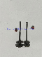  Three-Wheeler Engine Valve of Tricycle