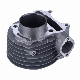  Great Quality of Motorcycle Spare Part Block Cylinder Engine with Best Prices