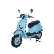 800W Electric Scooter Electric Motorcycle for Ts-St