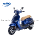  New Electric Scooter Adult Electric Motorcycle CKD