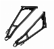OE# 1018211-458 Auto Parts Polaris Rzr 2010-2014 a-Arm Control Arm manufacturer