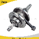 Motorcycle Engine Spare Parts Motorcycle Crankshaft for Cgl