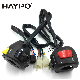  Motorcycle Parts Accessories Handle Switch for YAMAHA Fz16 / 21c-H3972-01 / 21c-H3975-00