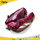 Motorcycle Fuel Tank Motorcycle Fuel Tank Bajaj Spare Parts manufacturer