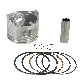 Yamamoto Gasoline Engine Parts Piston (W/Ring, Pin, Clip) Std for Gx160 manufacturer