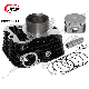  Motorcycle Parts Engine Block Bajaj Discover100 Black Cylinder Set Motorcycle Cylinder Kit