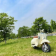  Classic Frame for European Market CCC Certified Electric Scooter Electric Motorcycle