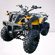  Professional Series Dirt Bike 150cc Engine with Reverse 4wheeler ATV for Adults Gas