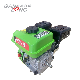 China 168f-1 Gasoline Engine for Bicycle with CE