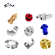 Smile Hot Sale Manufacturer Car Spare Part Conversion Kit Dirt Bike