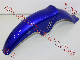 Motorcycle Spare Parts Front Fender for FT150, Hj125