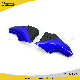 Ybr125 Motorcycles Accessories Motorcycle Part Motorcycle Side Cover manufacturer