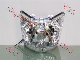  Motorcycle Spare Parts Motorcycle Headlamp Model Byq150 Cgr125 Dm250