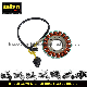  Motorcycle Parts Magneto Starter Coil for Motorcycle