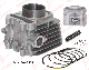  Motorcycle Engine Spare Part Bajaj 3W4s/Bm100/CT100/Discover100/Discover125 Motorcycle Cylinder Block Kit