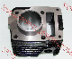  Motorcycle Parts Cylinder Kit Block Kit for Wave110