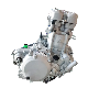  Motorcycle 300cc Engine for YAMAHA for Honda for Suzuki Zongshen Nc250 Nc300s Nc450 Engines off-Road Motorbike Spare Part Assembly