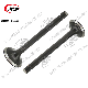  High Quality Motorcycle Parts Bajaj100 Bajaj CT100 Bajaj Boxer100 Valve Inlet and Exhaust Motorcycle Valves