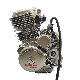  Loncin 260cc 4 Stroke Water-Cooled Motorcycle Engine Td260 Engine for YAMAHA Bajaj